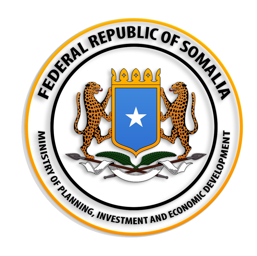Does Somalia have a government?